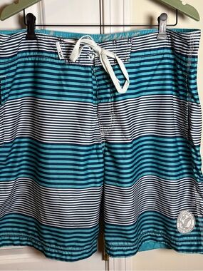American Eagle Outfitters Teal, Navy & White Striped Men’s Swim Board Shorts XL